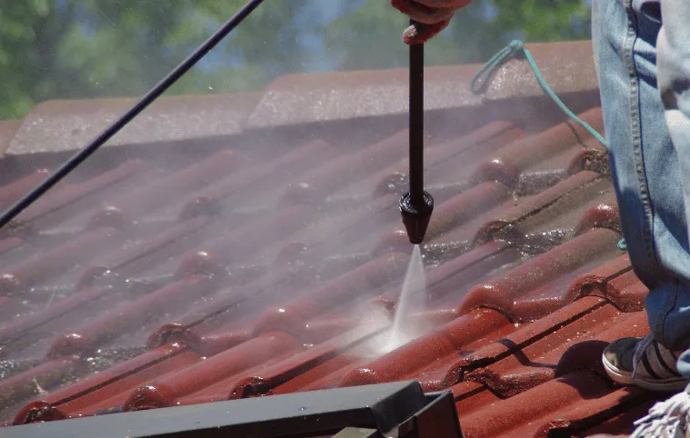 demoussage de toiture
