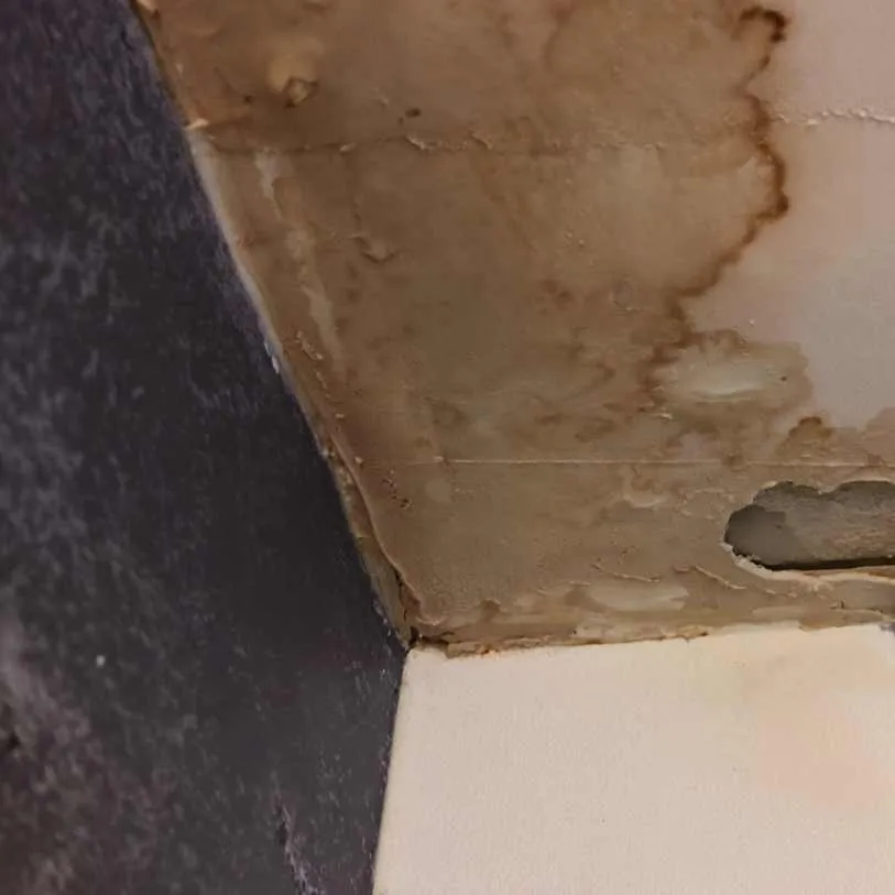 infiltration dans une toiture lyonnaise